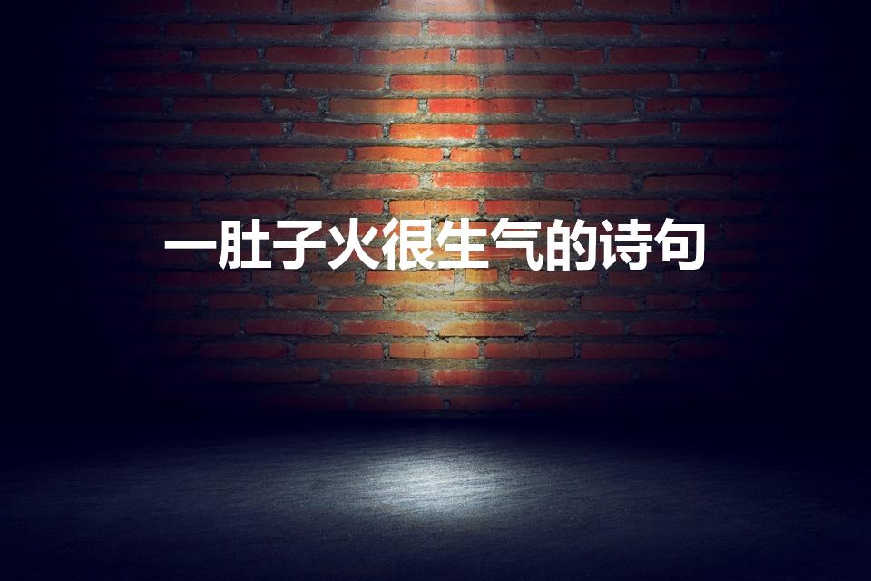 一肚子火很生气的诗句（形容生气心情不爽的诗）