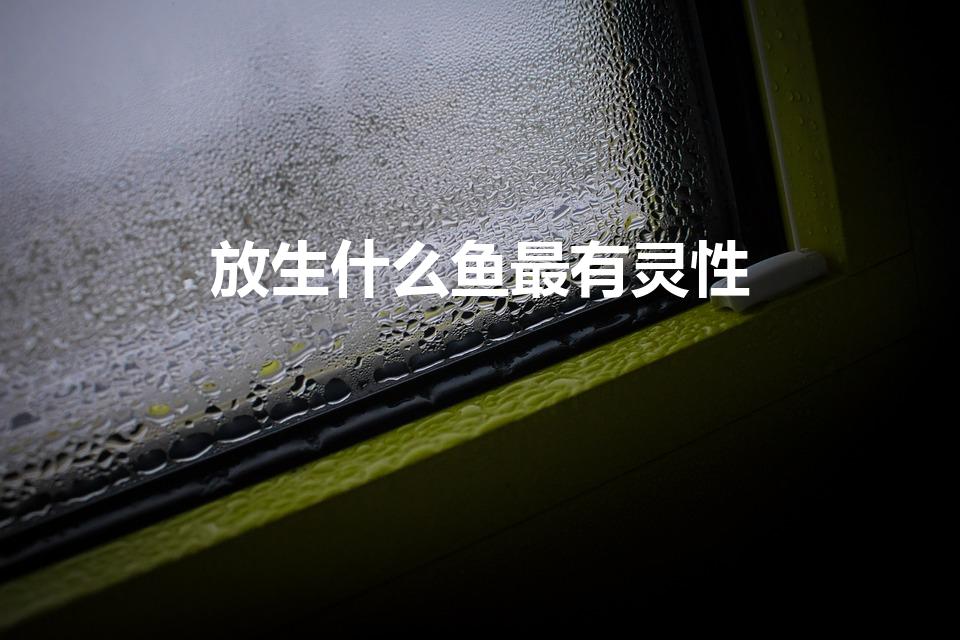 放生什么鱼最有灵性（放生放什么鱼最好）
