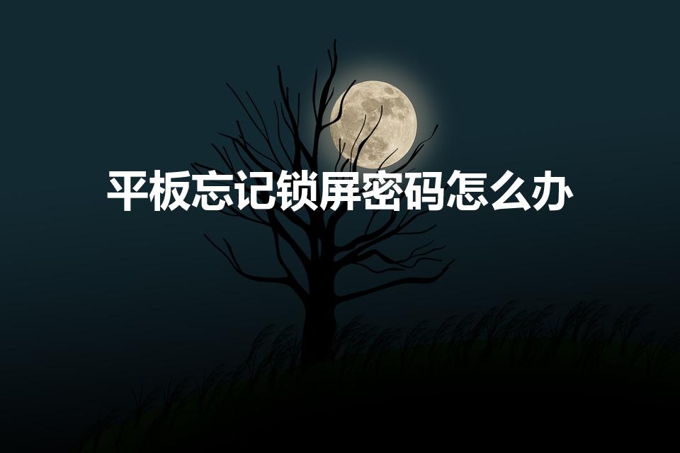 平板忘记锁屏密码怎么办（平板不记得锁屏密码了怎么办）
