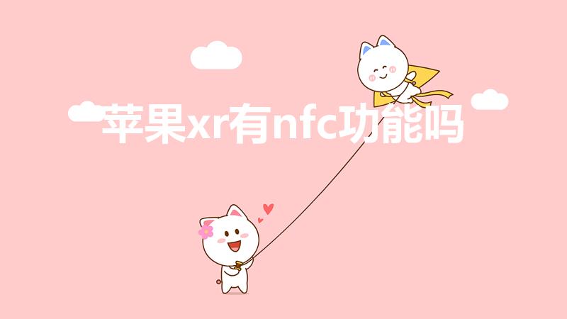 苹果xr有nfc功能吗（xr参数怎么开nfc）