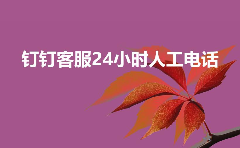 钉钉客服24小时人工电话（钉钉客服多少电话是多少）