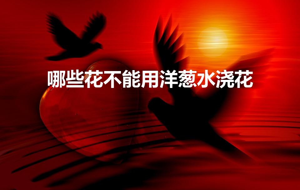 哪些花不能用洋葱水浇花（洋葱水浇大花惠兰可以吗）