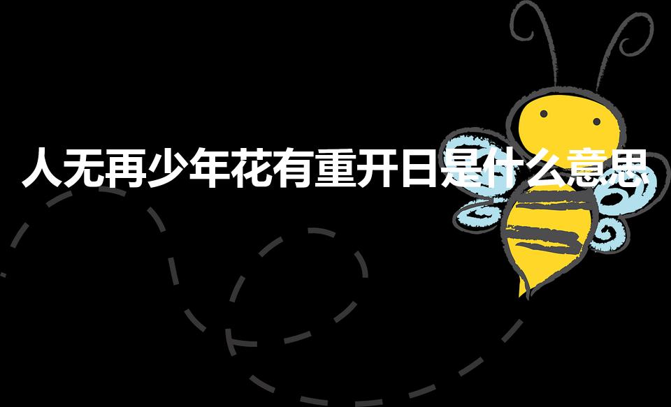 人无再少年花有重开日是什么意思