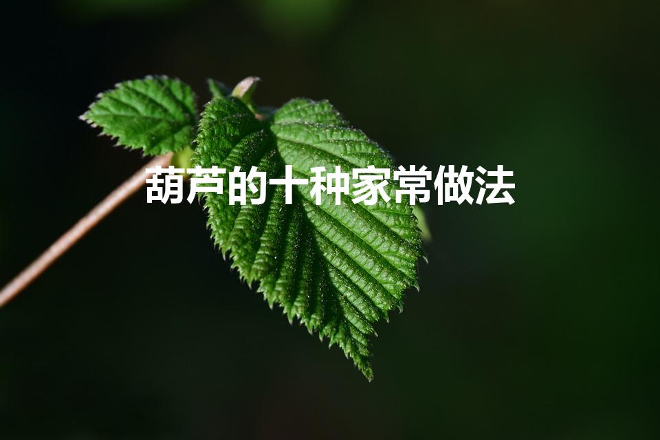 葫芦的十种家常做法（葫芦的做法）