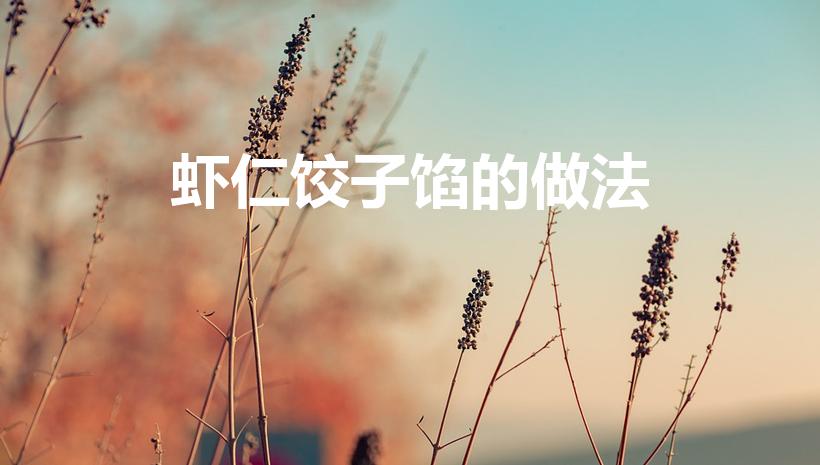 虾仁饺子馅的做法（虾仁饺子馅怎么做）