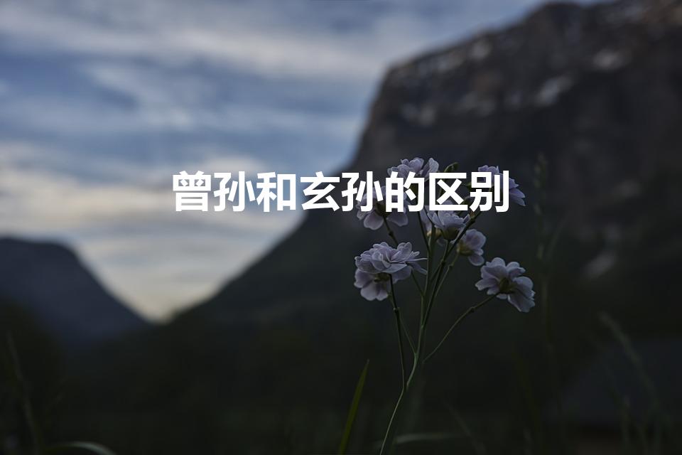 曾孙和玄孙的区别（曾孙与玄孙有什么区别）