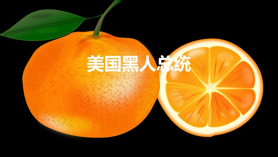 美国黑人总统