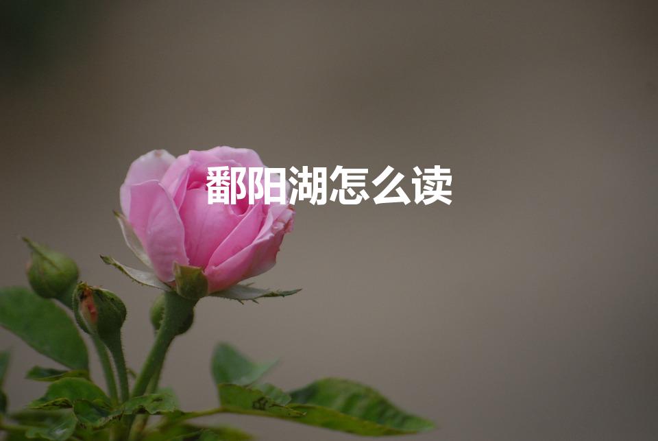 鄱阳湖怎么读（鄱阳湖的正确读音）