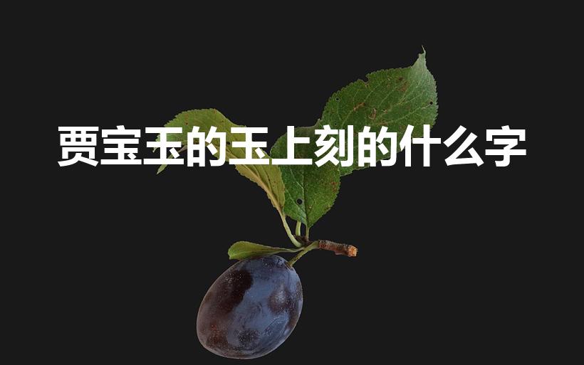 贾宝玉的玉上刻的什么字（贾宝玉的玉上面刻的哪几个字）