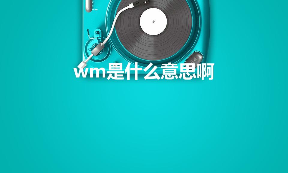 wm是什么意思啊（WM是什么意思）