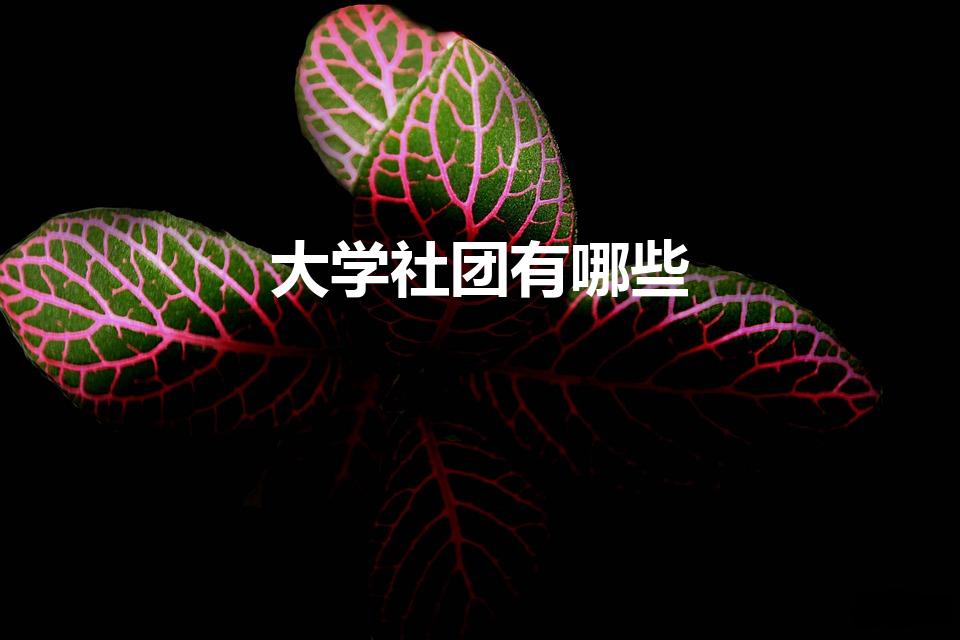 大学社团有哪些（大学里一般都有什么社团）