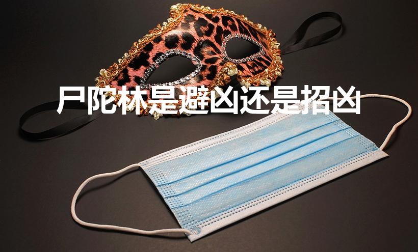 尸陀林是避凶还是招凶（尸陀林是什么意思尸陀林有什么用处）