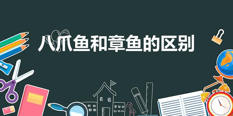 八爪鱼和章鱼的区别（章鱼和八爪鱼有分别吗）