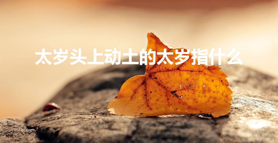 太岁头上动土的太岁指什么