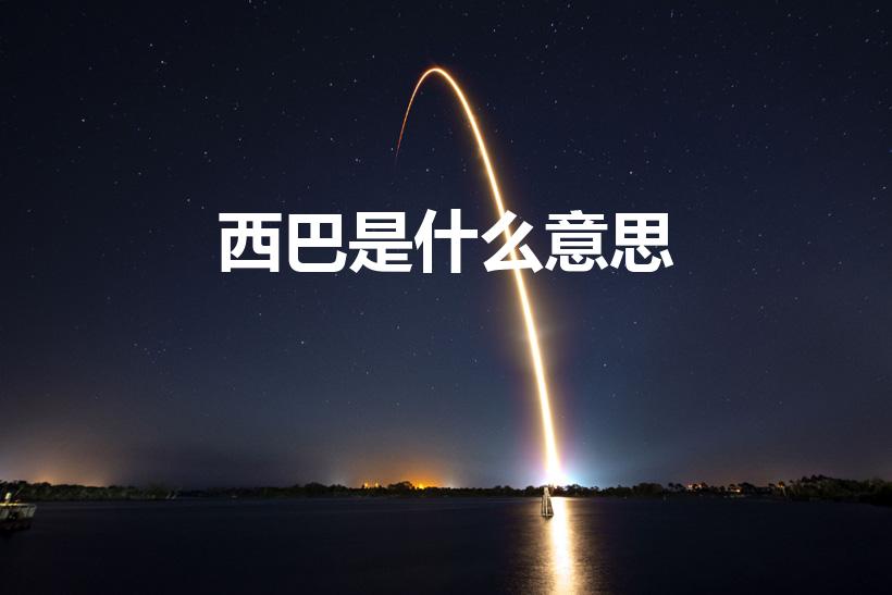 西巴是什么意思（韩语西巴什么意思）
