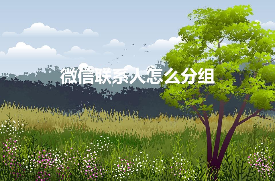 微信联系人怎么分组（微信怎么分类好友分组）