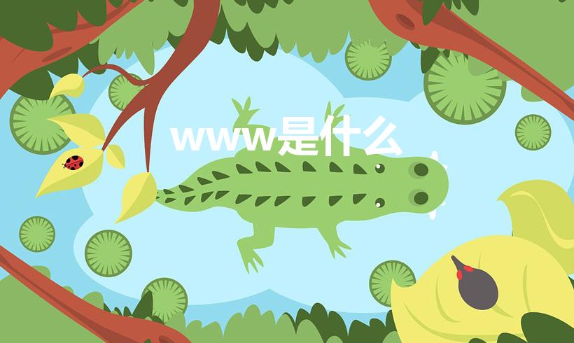 www是什么（www是什么的简称）