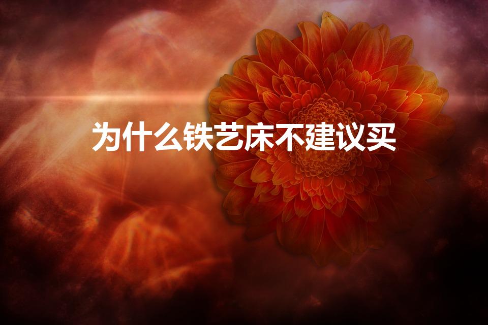 为什么铁艺床不建议买（为什么卧室不买铁床卧室选什么床好）