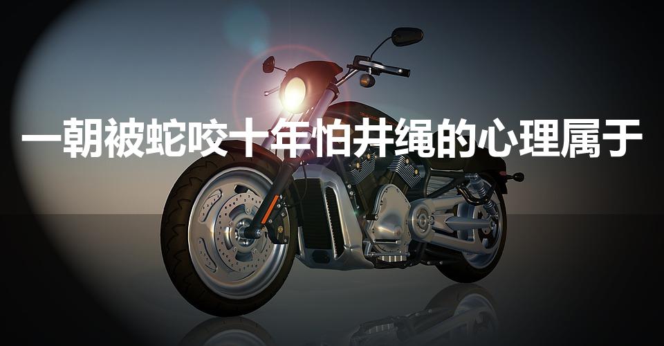 一朝被蛇咬十年怕井绳的心理属于