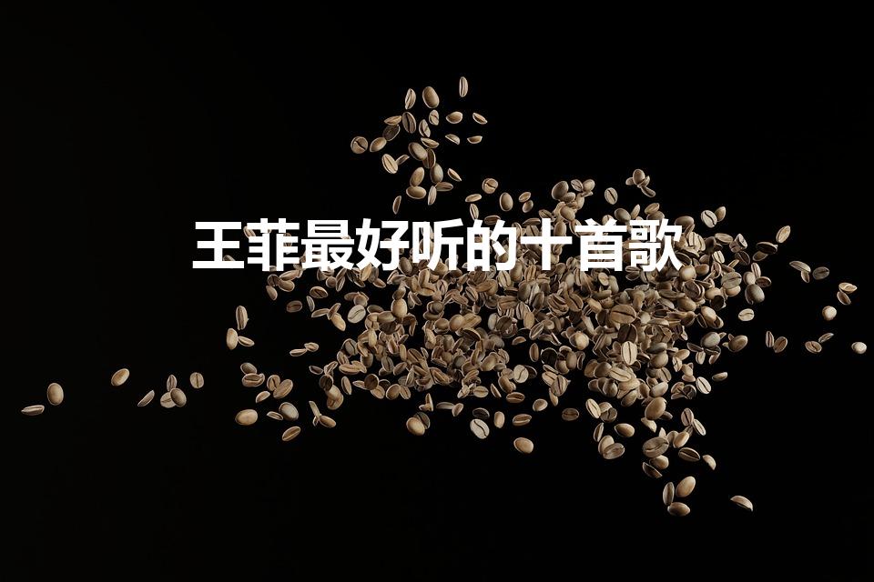 王菲最好听的十首歌（王菲最好听的十首）