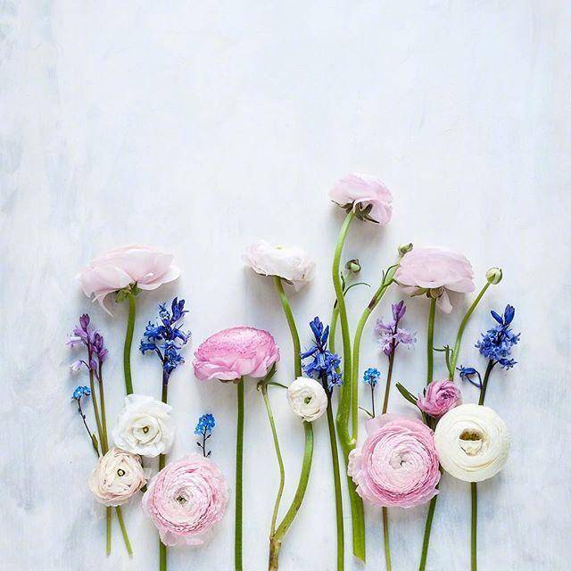 c0f1a542cccf4cd6850f3bd270d455a3noop.image_