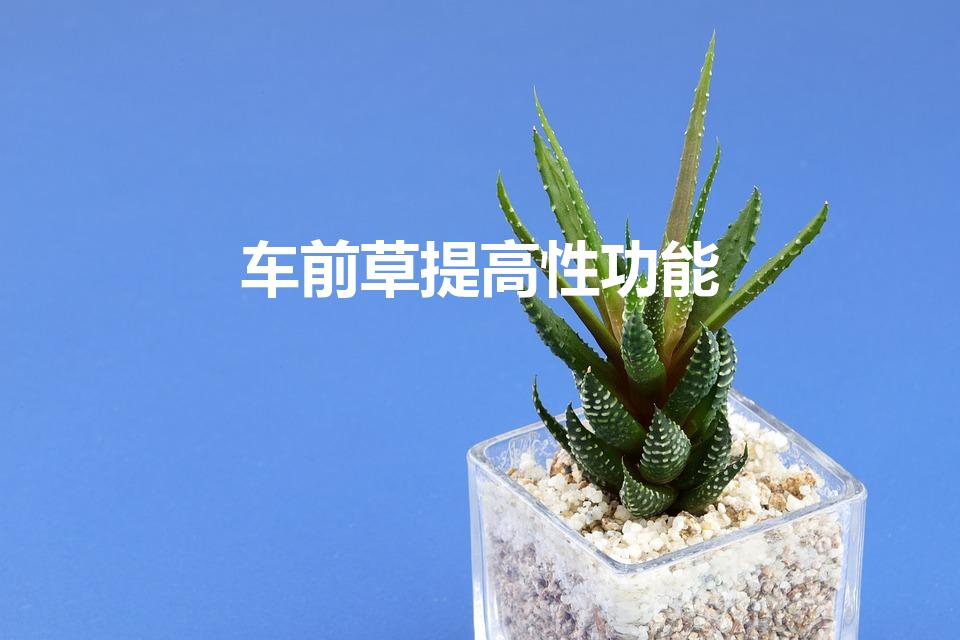 车前草提高性功能（车钱草的功效与禁忌）