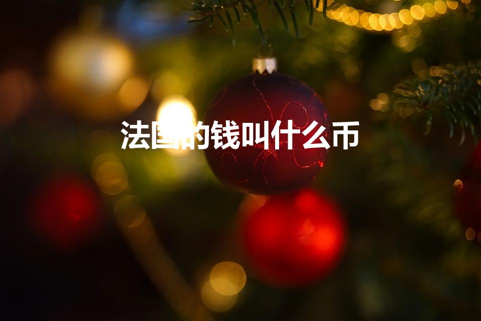 法国的钱叫什么币（法国的货币单位是什么）