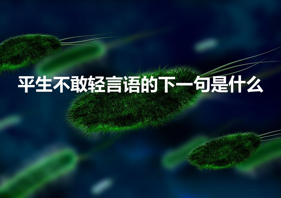 平生不敢轻言语的下一句是什么