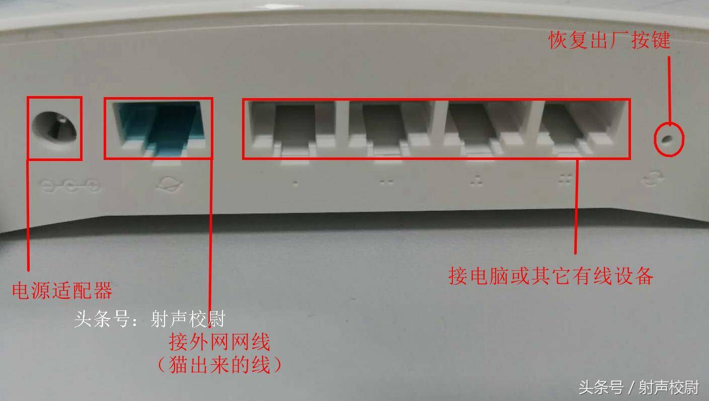 66b800021bf87aa654a8noop.image_