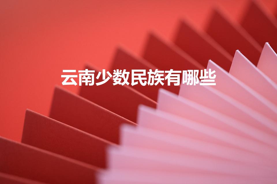 云南少数民族有哪些（云南有什么少数民族）