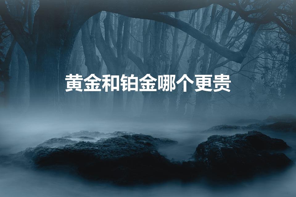 黄金和铂金哪个更贵（铂金贵还是黄金贵）