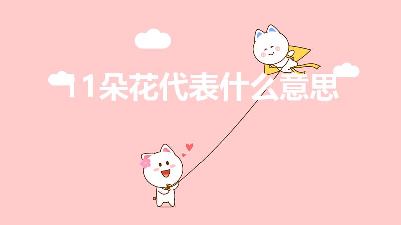 11朵花代表什么意思（送花11朵代表什么）