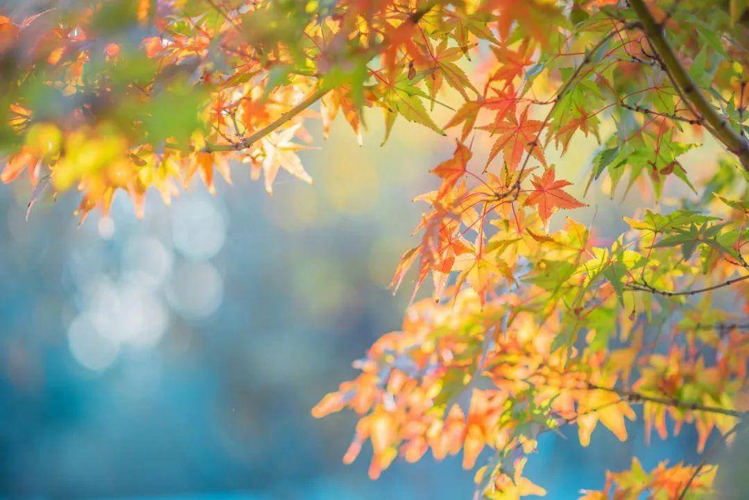 d05a4ecb15734e818c06981fa27e8b45noop.image_ d05a4ecb15734e818c06981fa27e8b45noop.image_