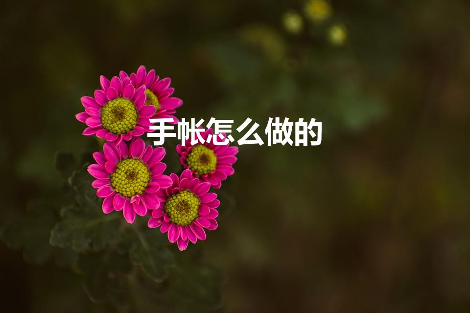 手帐怎么做的（怎么做手帐）