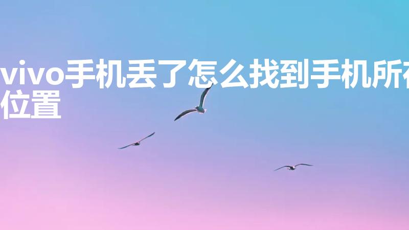 vivo手机丢了怎么找到手机所在位置