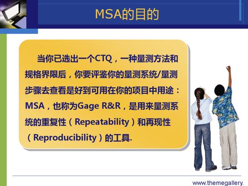 msa是什么意思？解析MSA的含义与应用