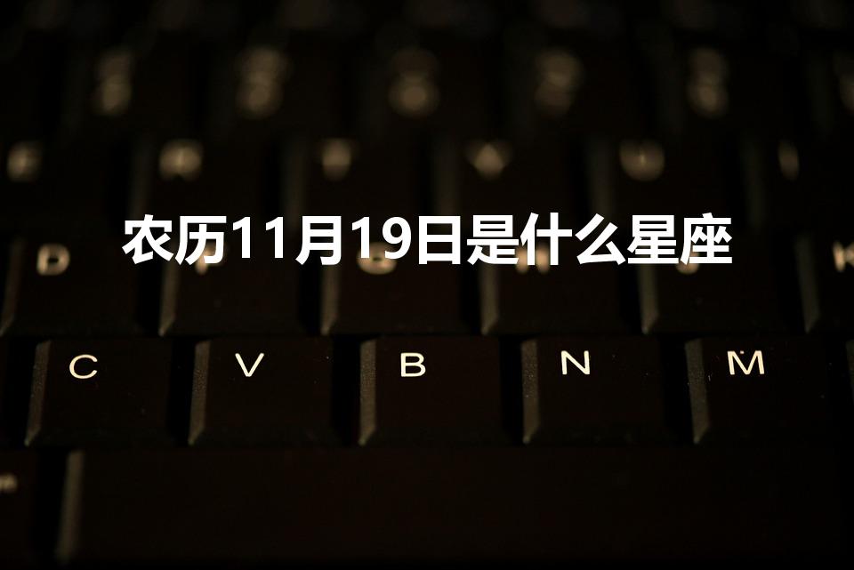 农历11月19日是什么星座（阴历11月19日是什么星座）