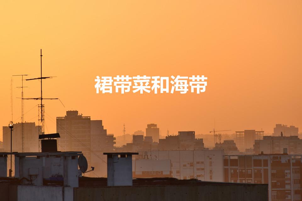 裙带菜和海带（海带和裙带菜有什么区别）