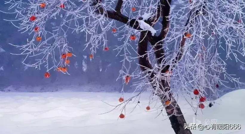 ff48d334e037428190368b84b77d1887noop.image_ ff48d334e037428190368b84b77d1887noop.image_
