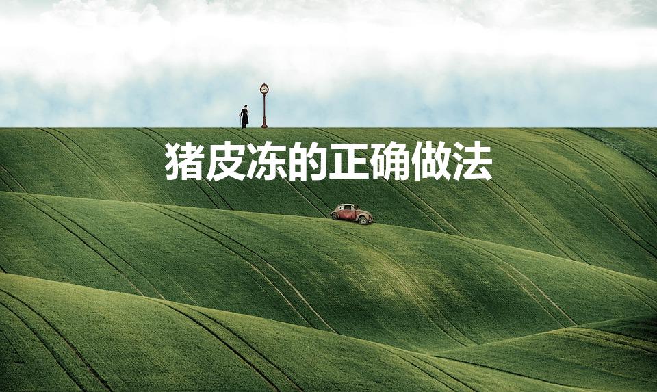 猪皮冻的正确做法（猪皮冻怎么做才好吃）
