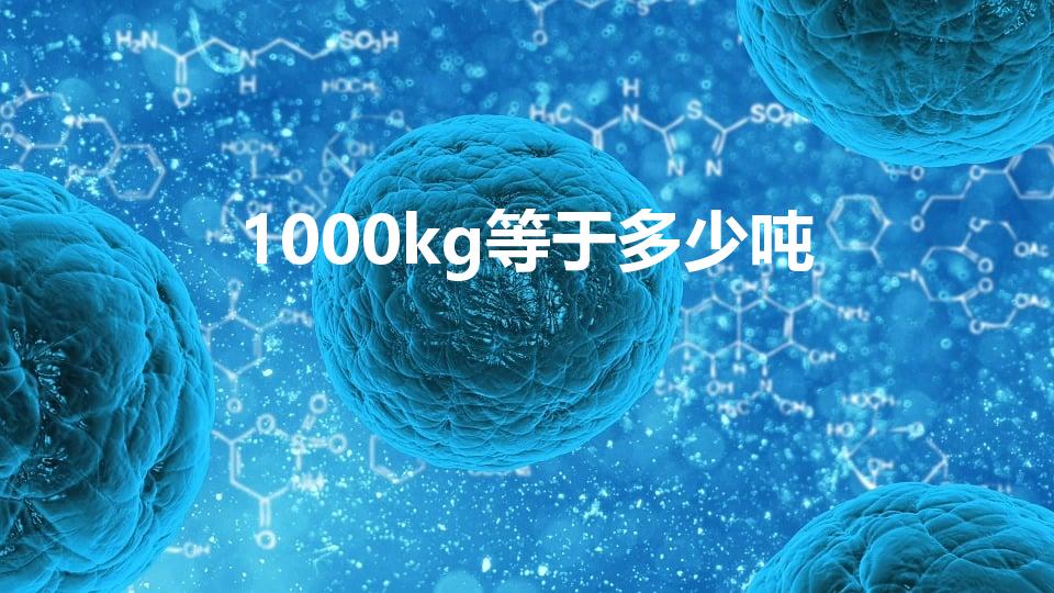 1000kg等于多少吨（1000千克等于多少吨）