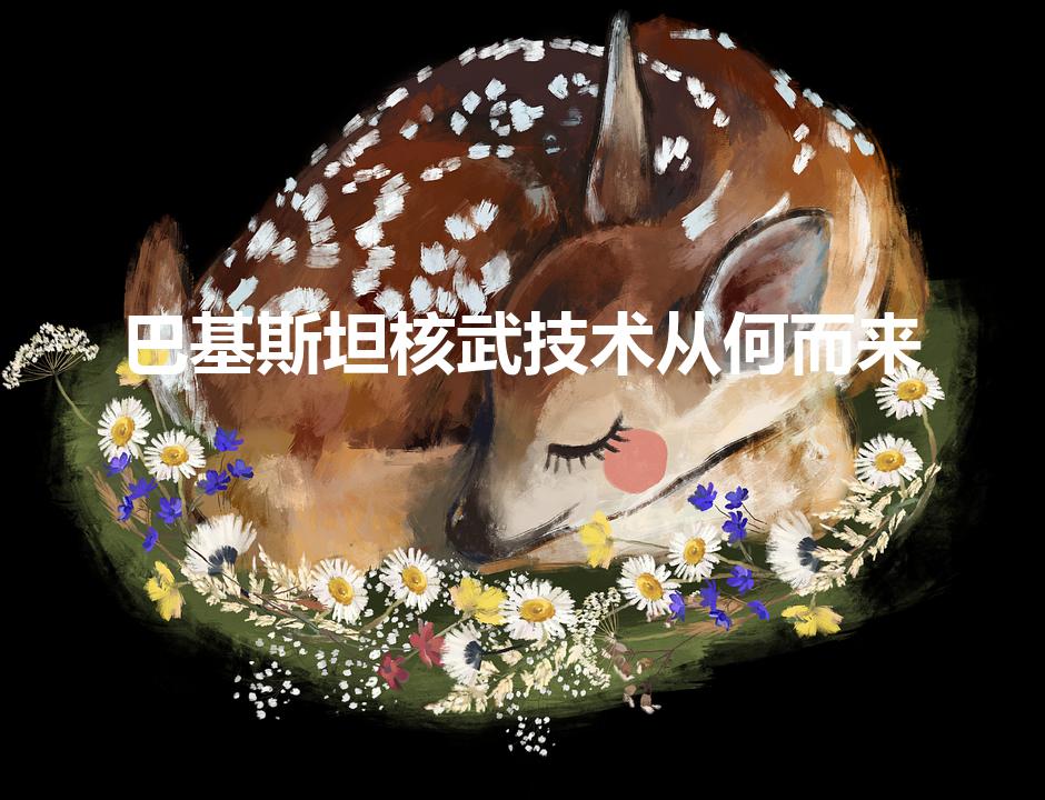 巴基斯坦核武技术从何而来