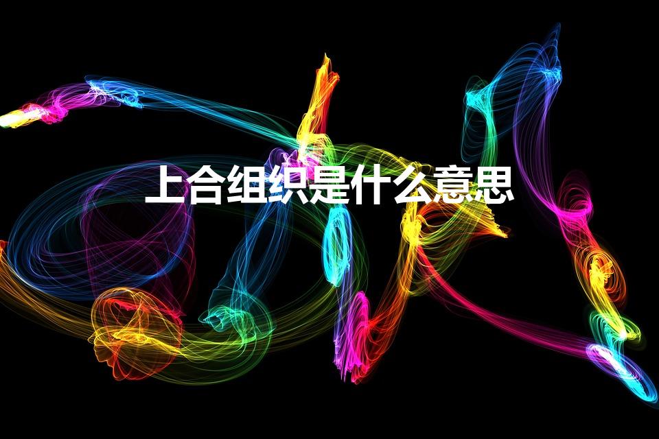 上合组织是什么意思（上合组织什么的解释是什么）