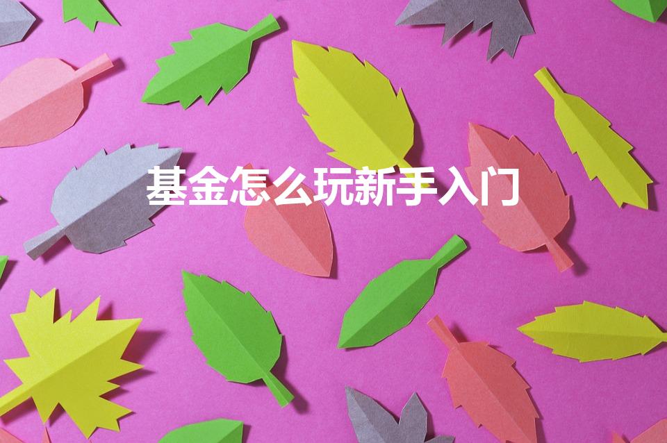 基金怎么玩新手入门（基金怎么玩新手入门10元）