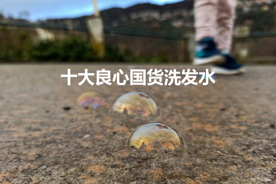 十大良心国货洗发水（国货洗发水十大排行）