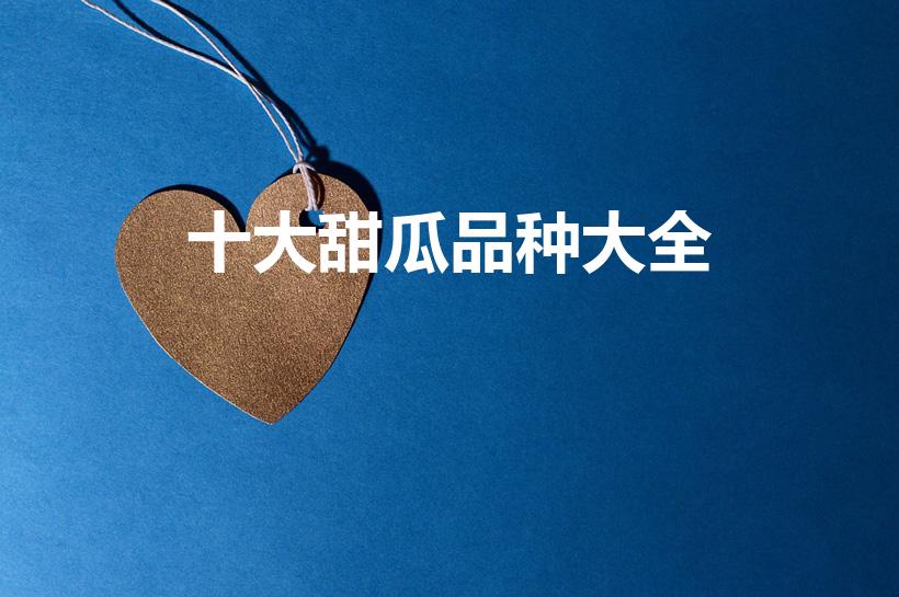 十大甜瓜品种大全（甜瓜有哪些优良品种）