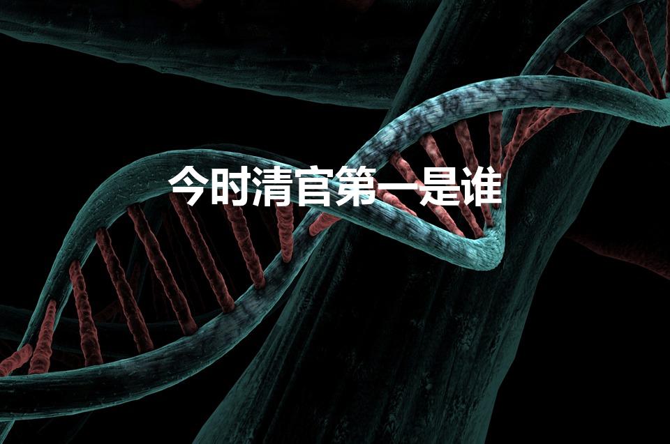 今时清官第一是谁（今时清官第一指的是谁）