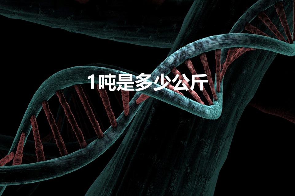 1吨是多少公斤（一吨等于多少公斤）