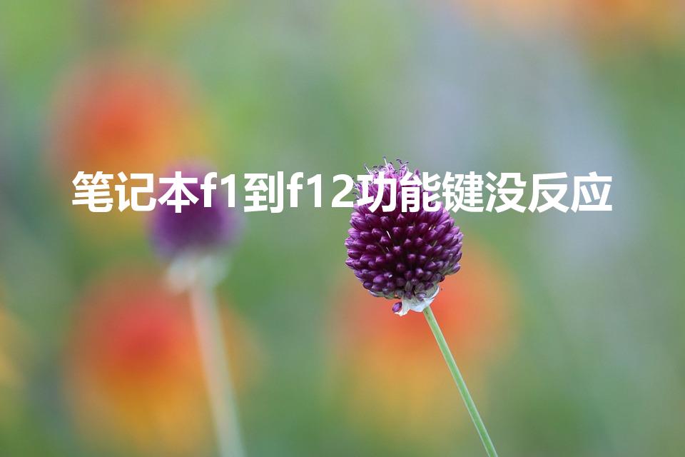 笔记本f1到f12功能键没反应