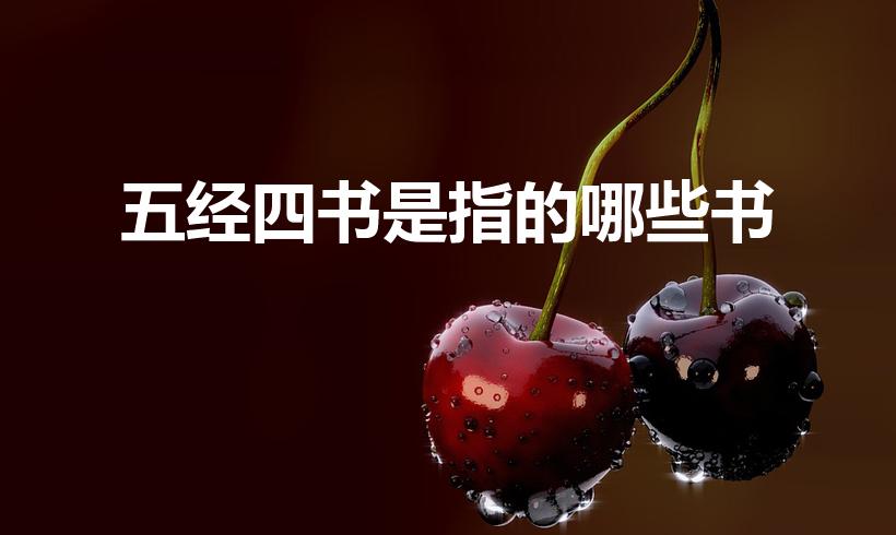五经四书是指的哪些书（四书五经指的是哪四书哪五经）
